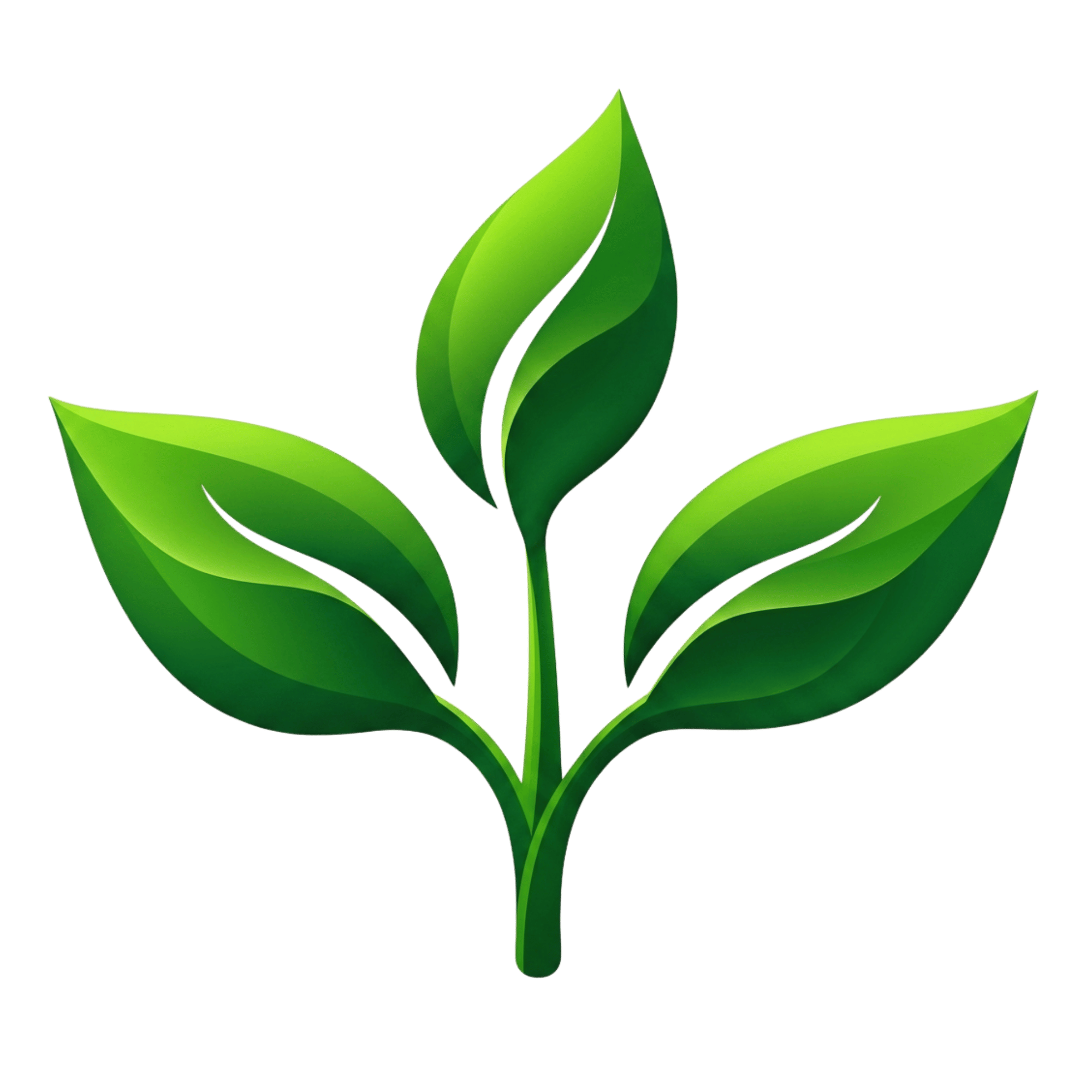 GraceGuide
